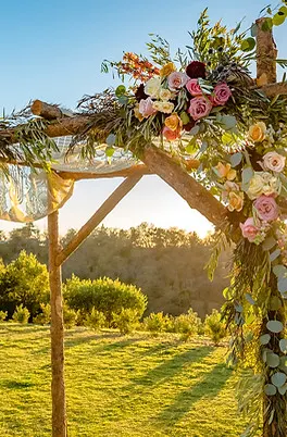 Wedding Canopy