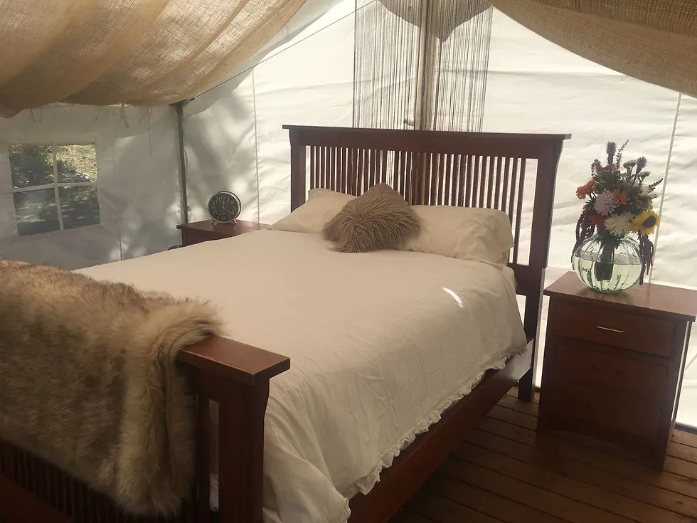 Bed