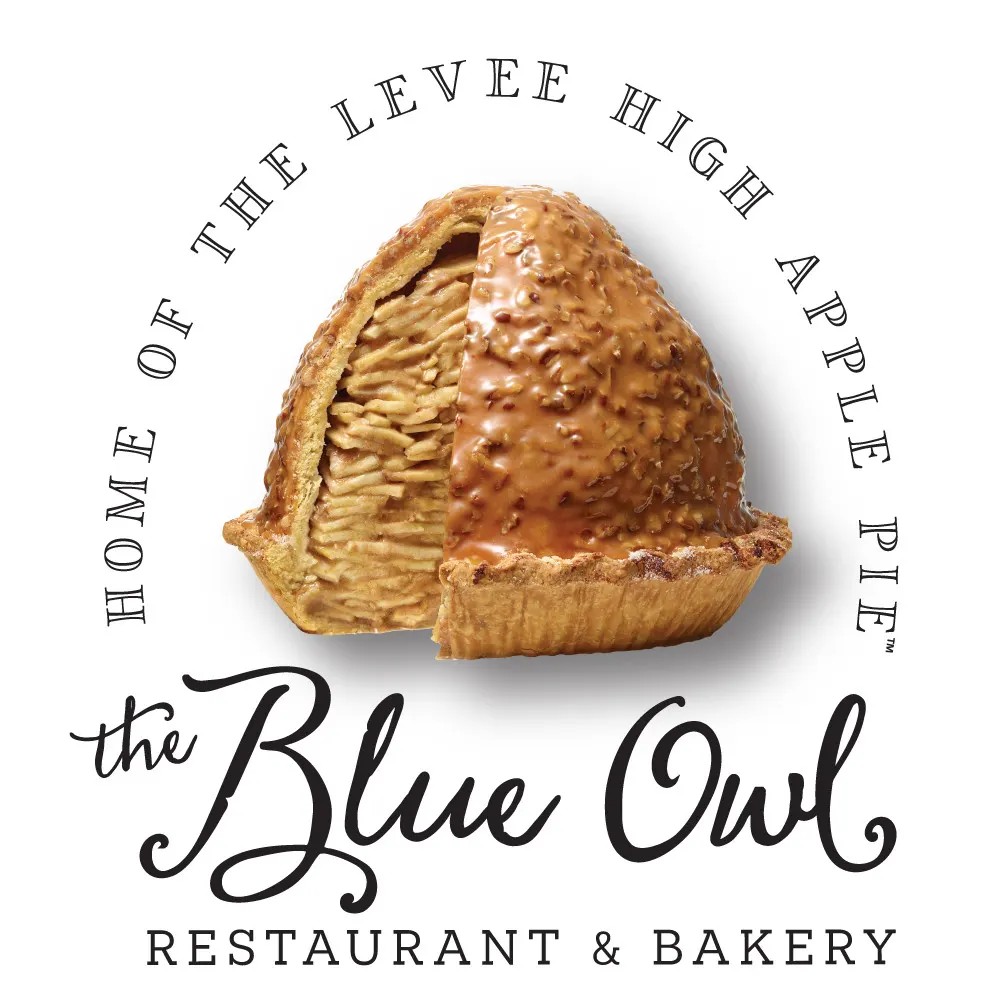 The Blue Owl Logo