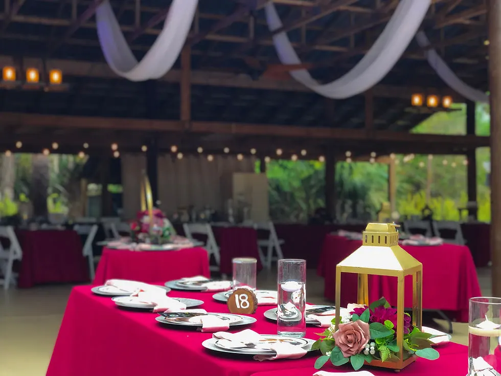Indoor Reception
