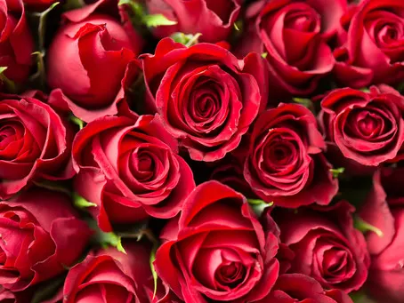 I have Lost the Spark in My Marriage, and my Partner is Not Romantic