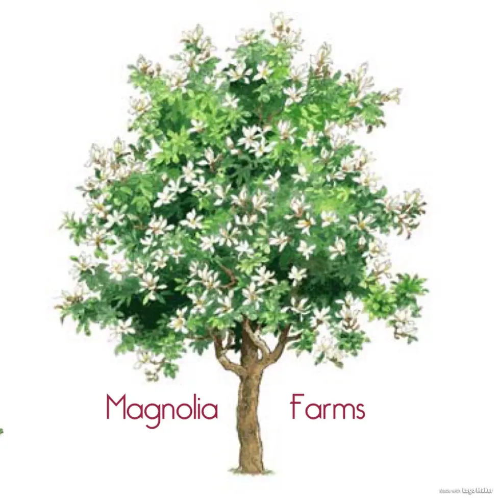 Magnolia Farms Logo