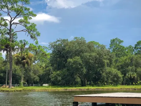 Ft. Myers Weddings: Heart of Palms Ranch - You Must See This Unique, Tropical Food Farm Venue!