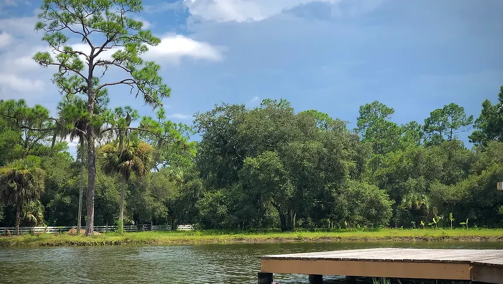 Lake